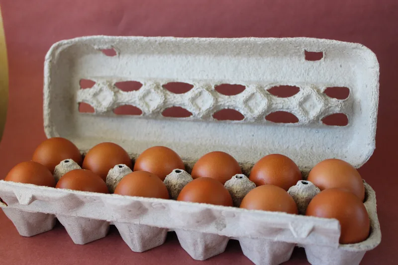Eggs