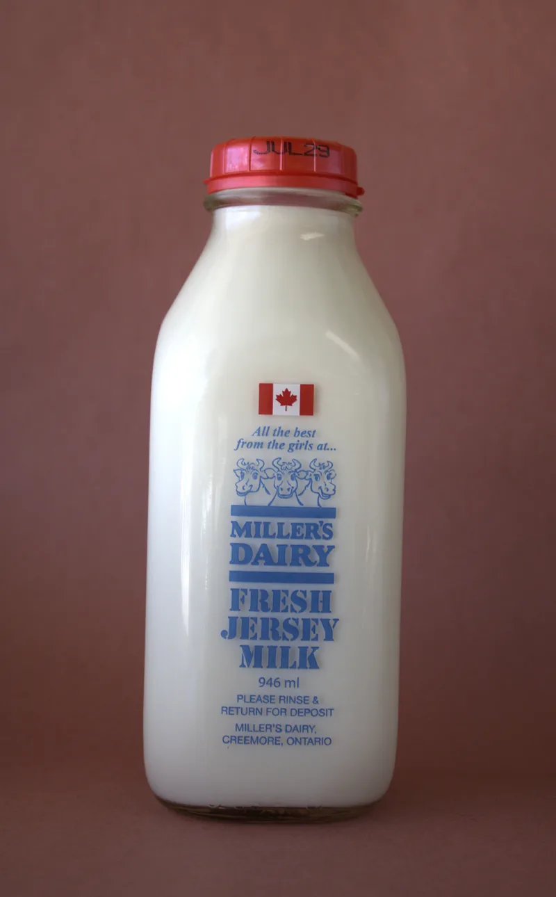 Miller's Dairy Whole Milk