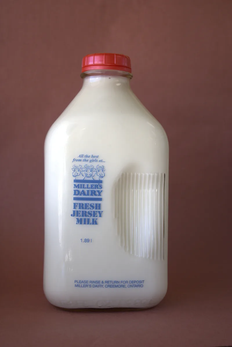 Miller's Dairy Whole Milk